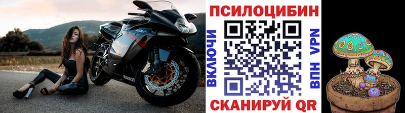 где купить наркоту Иннополис Галлюциногенные грибы мухоморы
